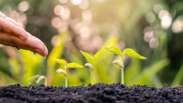 किसानलाई कृषि उपकरणसँगै बीउविजन वितरण