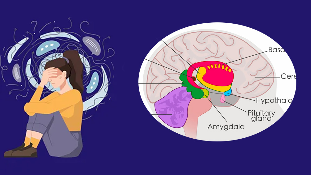 के हो एमिग्डाला हाइज्याक ?
