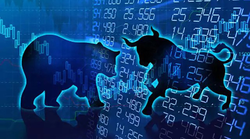 नेप्सेमा हरियाली, ४ अर्ब ९७ करोडको कारोबार