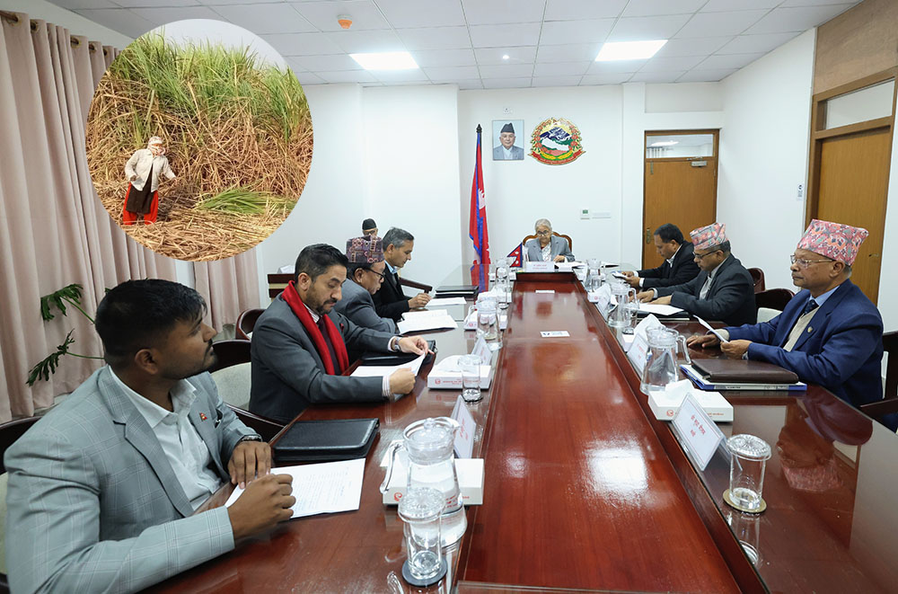 सरकारले उखुको समर्थन मूल्य प्रतिक्विन्टल ३५ रूपैयाँले घटायो