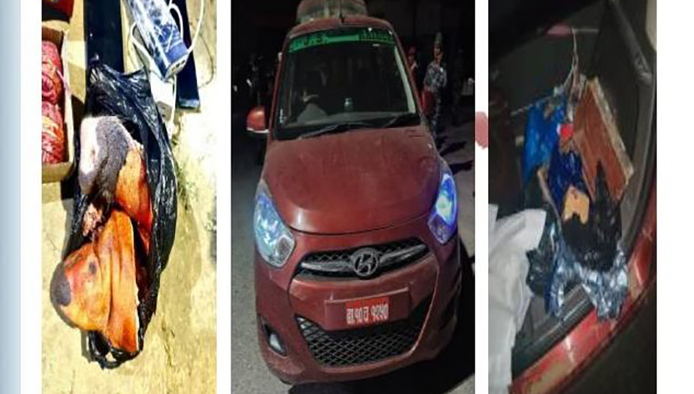 नेकपाका उम्मेदवार ‘होक्सी बम’ सहित पक्राउ