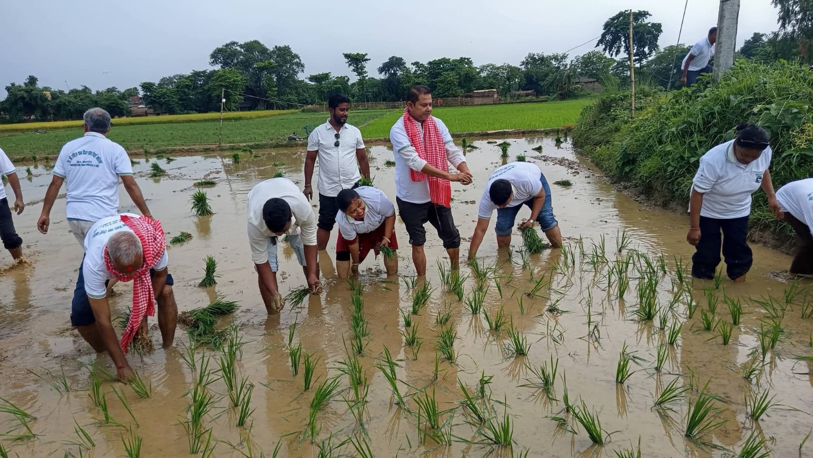 वीरगन्ज महानगरपालिकाको आयोजनामा २३ औँ राष्ट्रिय धान दिवस तथा रोपाइँ कार्यक्रम सम्पन्न-